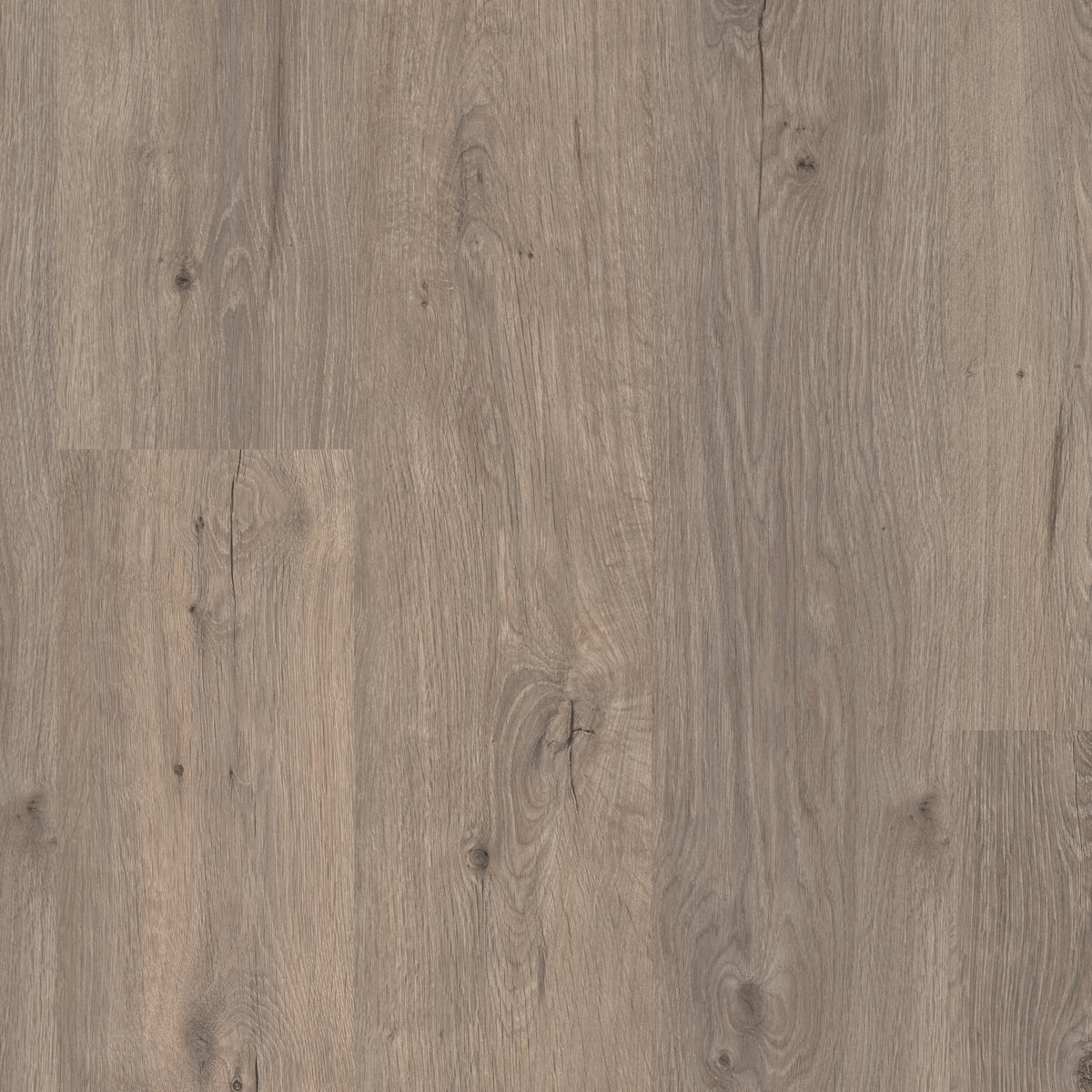 Roasted Oak