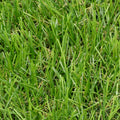 Super 30mm Artificial Grass